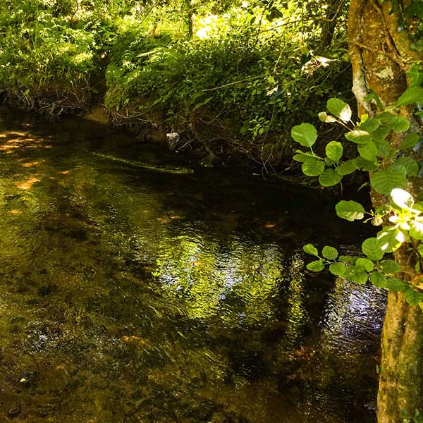 The beautiful river Bann in Hollyfort, Wexford