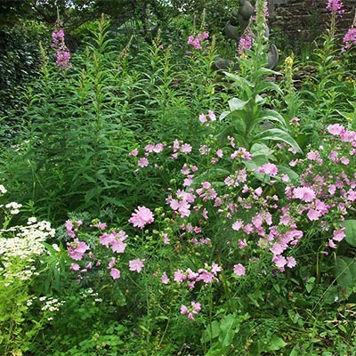 Garden in Magoureny