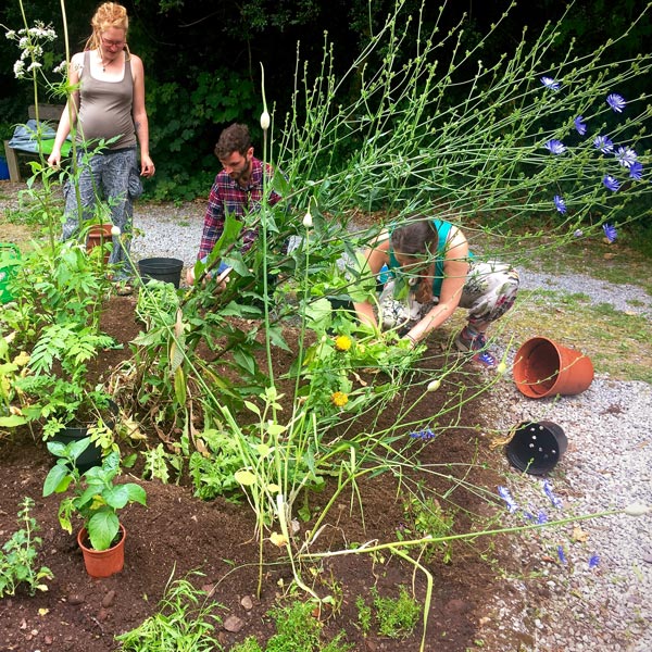 Students on a workday in Magourney with some plants