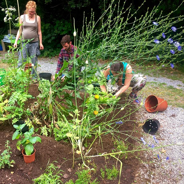 Students on a workday in Magourney with some plants 