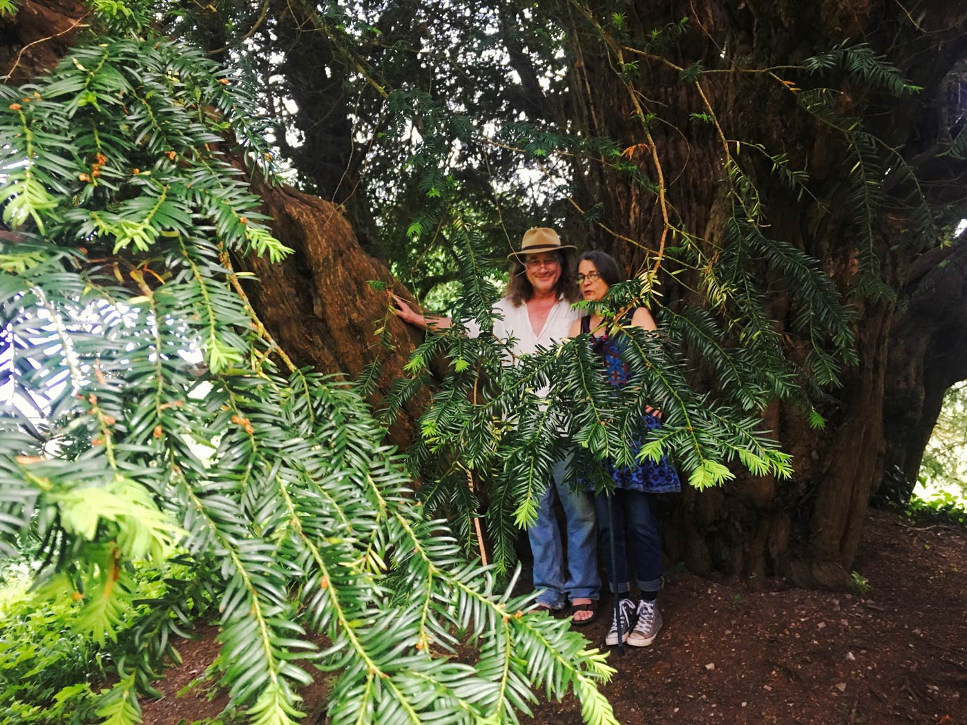 Alex and Nikki with the 4000 years old Ashbrittle Yew in Somerset, England, June 2018