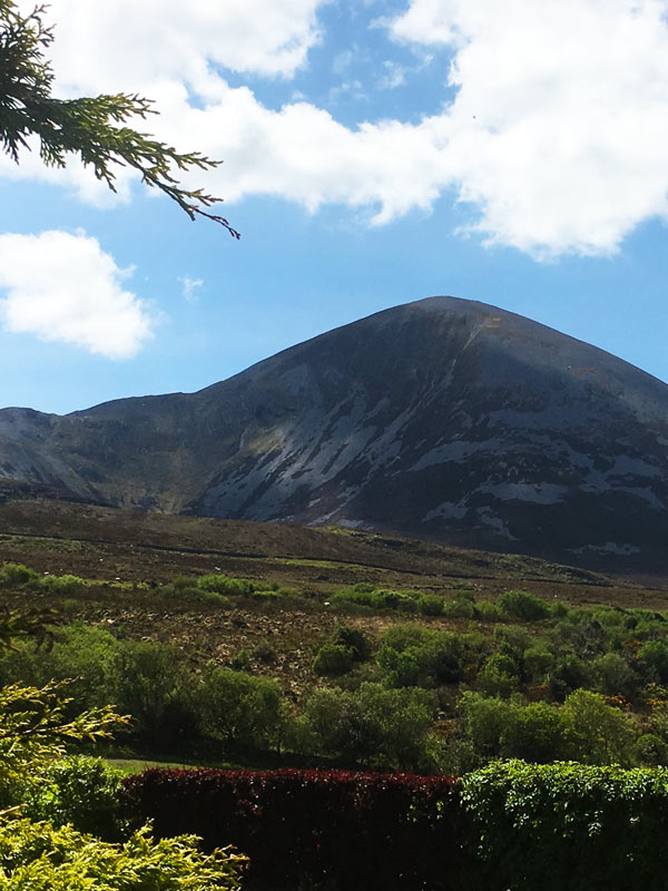 Thinking like a Mountain 