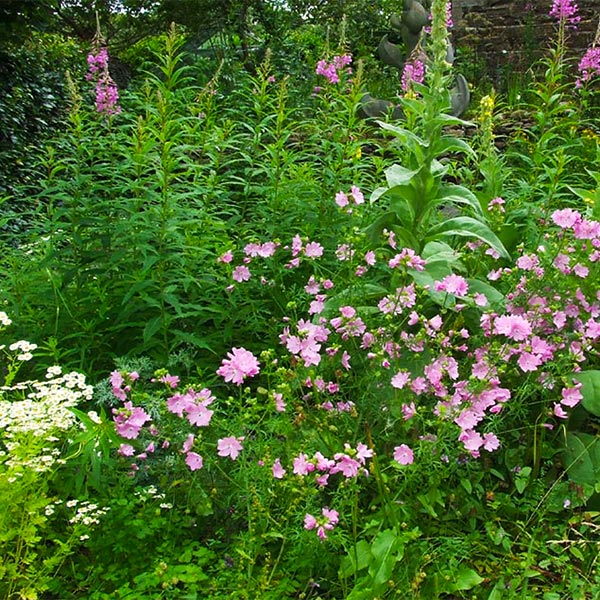 Magourney garden in full bloom
