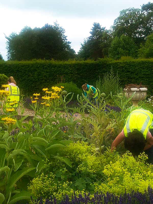 Physic Garden volunteers