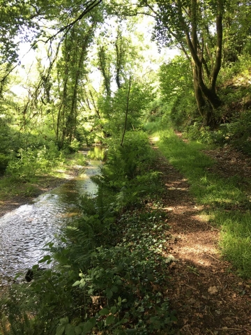 The lane connecting the fields 2015