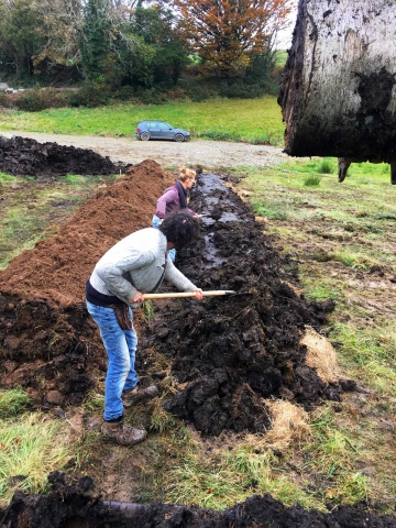 Silja and Tiernan in the Community field 2020