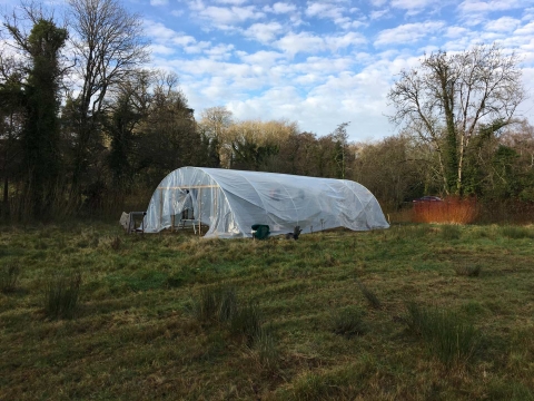 The large poytunnel going up in the Community field 2020