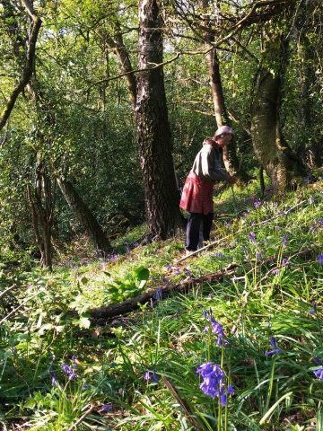 Nikki communing in the woods 2020