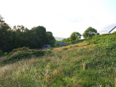 Looking north from the site the day before the excavators came 2019