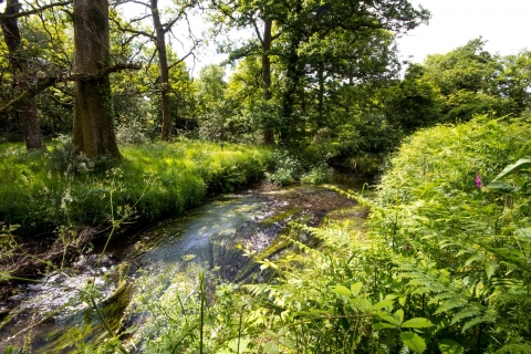 The River Bann